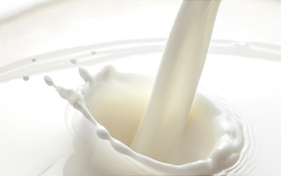 Factors involved in spoilage of MILK