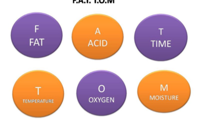 Who (or what) is F.A.T.T.O.M?