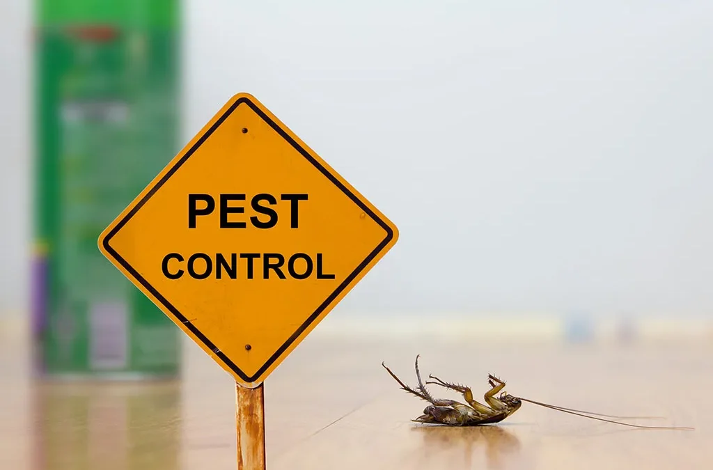 25 Ways to say Good-bye to the pests!