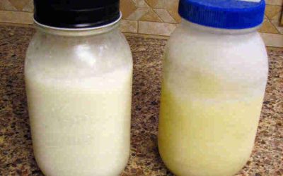7 Reasons why Milk and Milk Products are not to be frozen