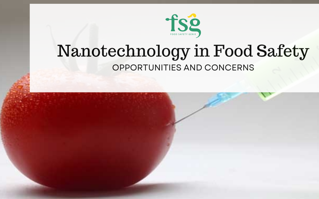 Nanotechnology in Food Safety: Opportunities and Concerns